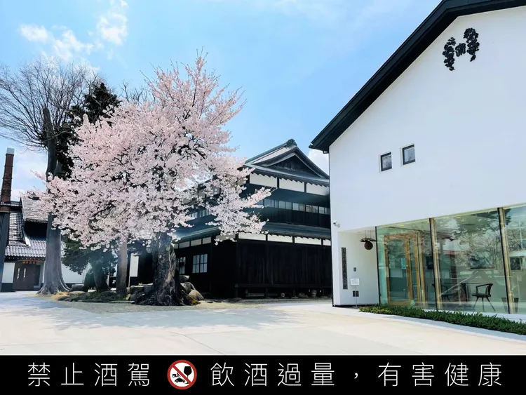 擁有超過400年歷史的高木酒造釀造的十四代，海外供應由 JCSC 統籌管理。吉力酒藏提供