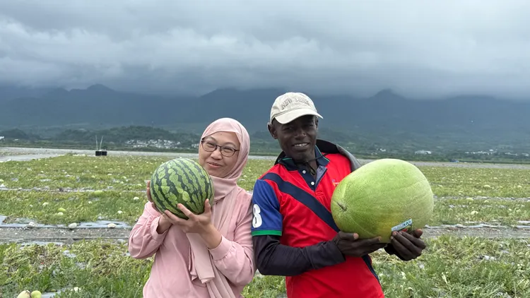 夏日水果「暢銷三巨頭」包含西瓜進貨約1250噸。家樂福提供