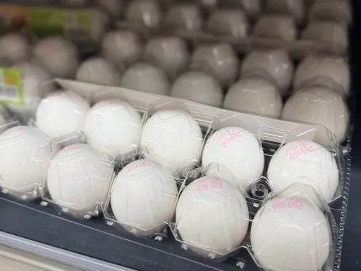 雞蛋買回家到底要不要冰？專業蛋商解答：關鍵在「身世背景」