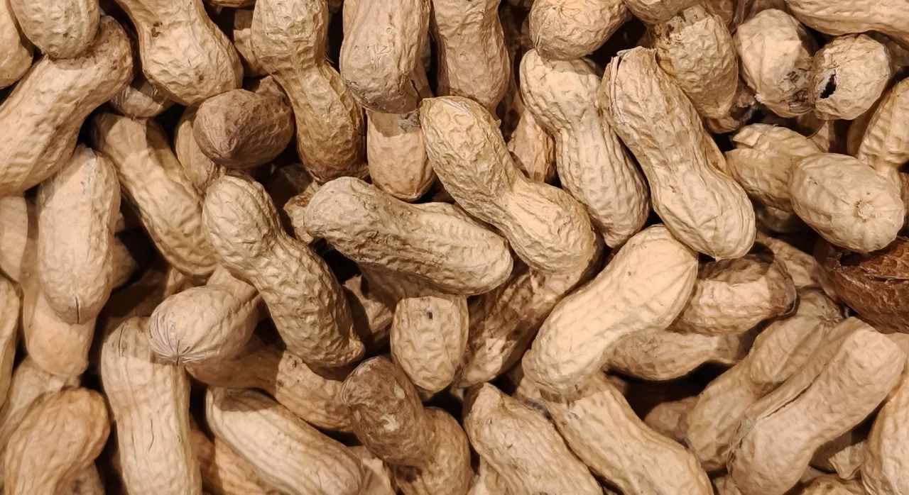 食物發霉挖掉還能吃？　醫師示警：「這毒素」是很強的致癌物