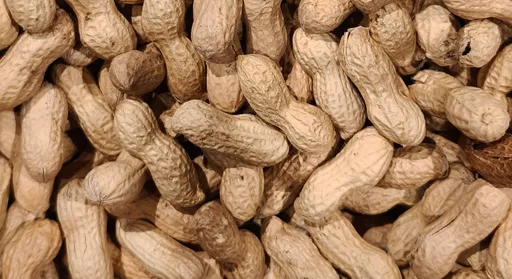 食物發霉挖掉還能吃？　醫師示警：「這毒素」是很強的致癌物
