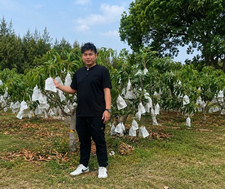 屏東枋山的「盧家愛文芒果」，在第三代青農盧旺昇25歲返鄉接班後，因栽種出精品等級的愛文芒果而打開外銷市場。家樂福提供