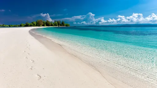 立夏能量轉折點！這5星座準備「錢滾錢」