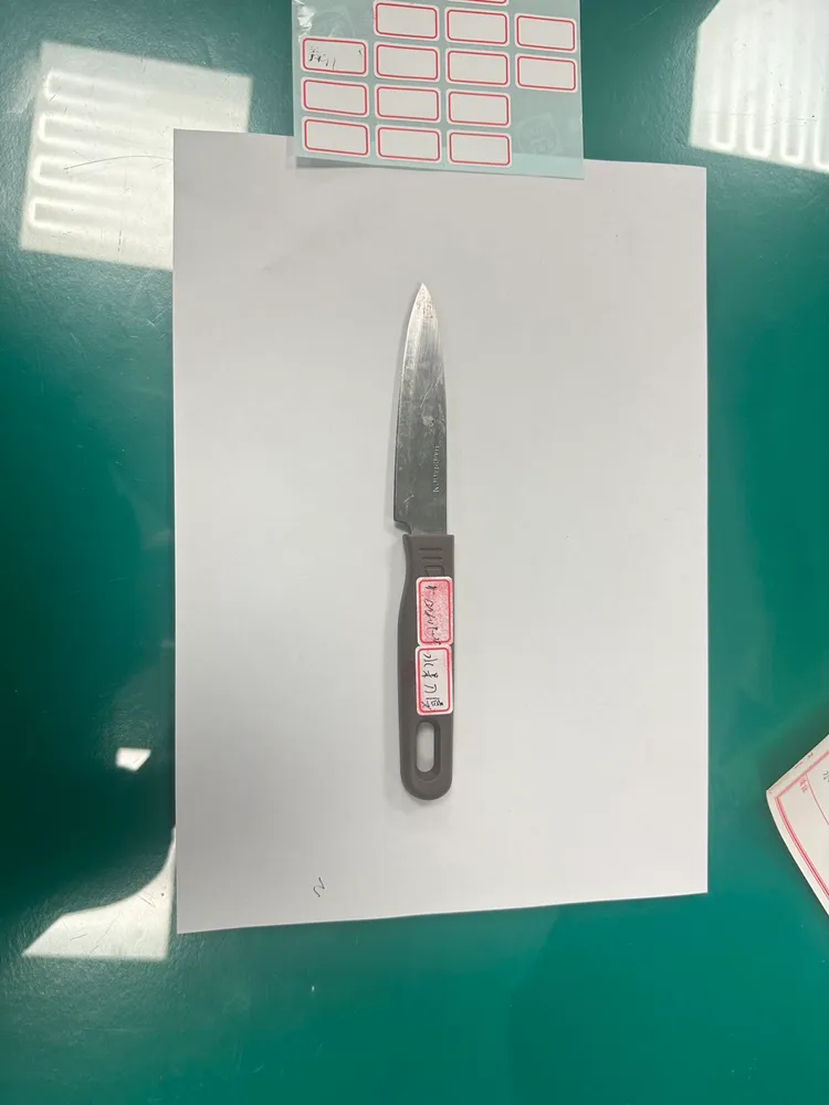 李嫌還不了債又擔心非法居留身分曝光，竟拿刀起了殺心。翻攝畫面