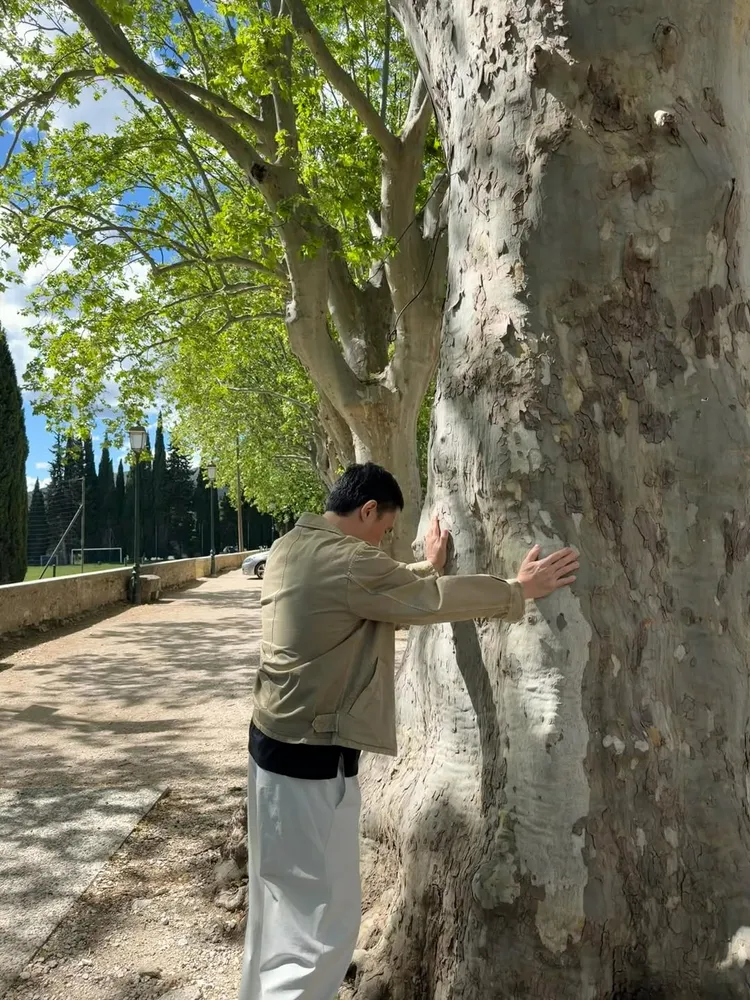 梁朝偉與樹交流。翻攝劉嘉玲IG