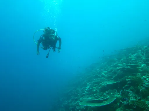 馬爾地夫5潛水客命喪海底洞穴　唯一生還者竟因「臨時沒下水」逃死劫