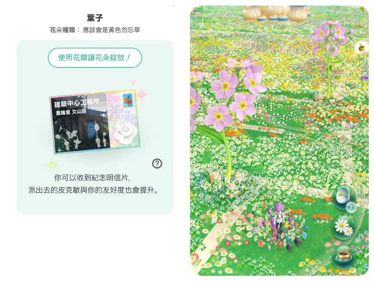 網友分享除了勿忘草，還可透過種花開出玫瑰花。翻攝皮克敏畫面