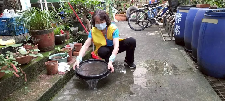 清除積水容器。環保局提供