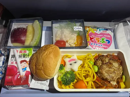 搭飛機「改選1餐點」意外爆紅！一票人搶訂大推：更驚喜