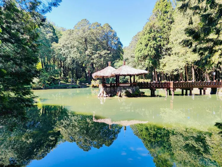 夏日滿水位的姊妹潭，夢幻倒影與蓊鬱林木如夢似幻。阿里山賓館提供