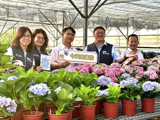 自產種苗！智農管理　桃園花卉青農吳承燁獲「全國農業達人冠軍」