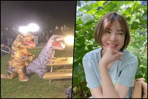 警察辦擎天崗「野砲情侶」太好笑？ 陳沂：頂多罰亂丟垃圾