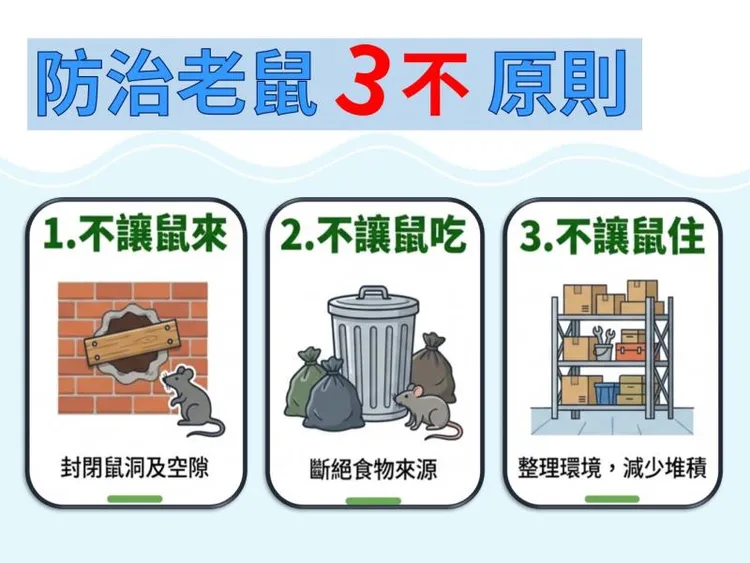防治鼠害關鍵在於「不讓鼠來、不讓鼠吃、不讓鼠住」。環境部