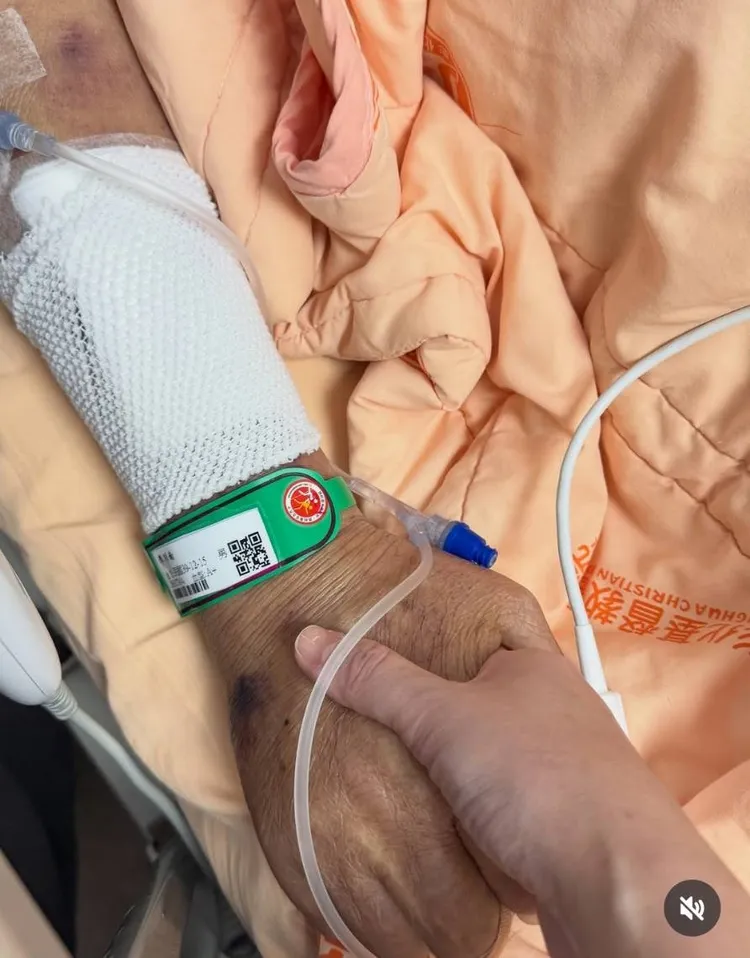 李燕痛喊亡父：「你不用再硬撐了。」翻攝李燕IG 