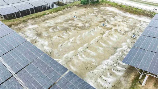 台泥綠漁電共生案場遭撤照　養殖戶、地主對嘉縣府提行政訴訟　