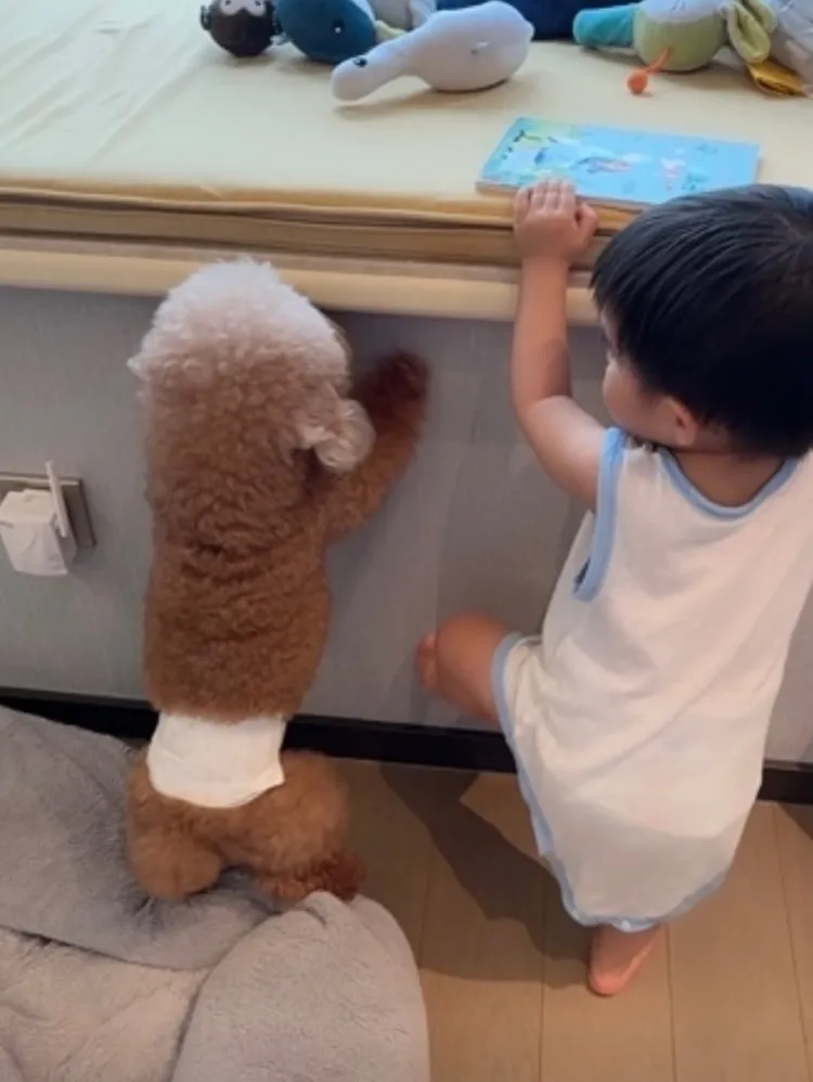 愷樂生活以小孩為主。翻攝愷樂IG