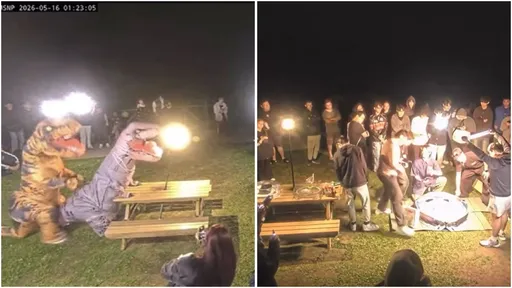 擎天崗深夜好鬧！驚見「恐龍野砲」還有戰鬥陀螺　數千人搶看直播