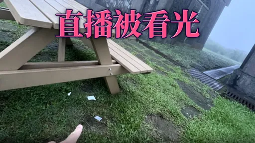 擎天崗「情侶野戰」身分曝光！保險套丟地上 ...警將通知到案