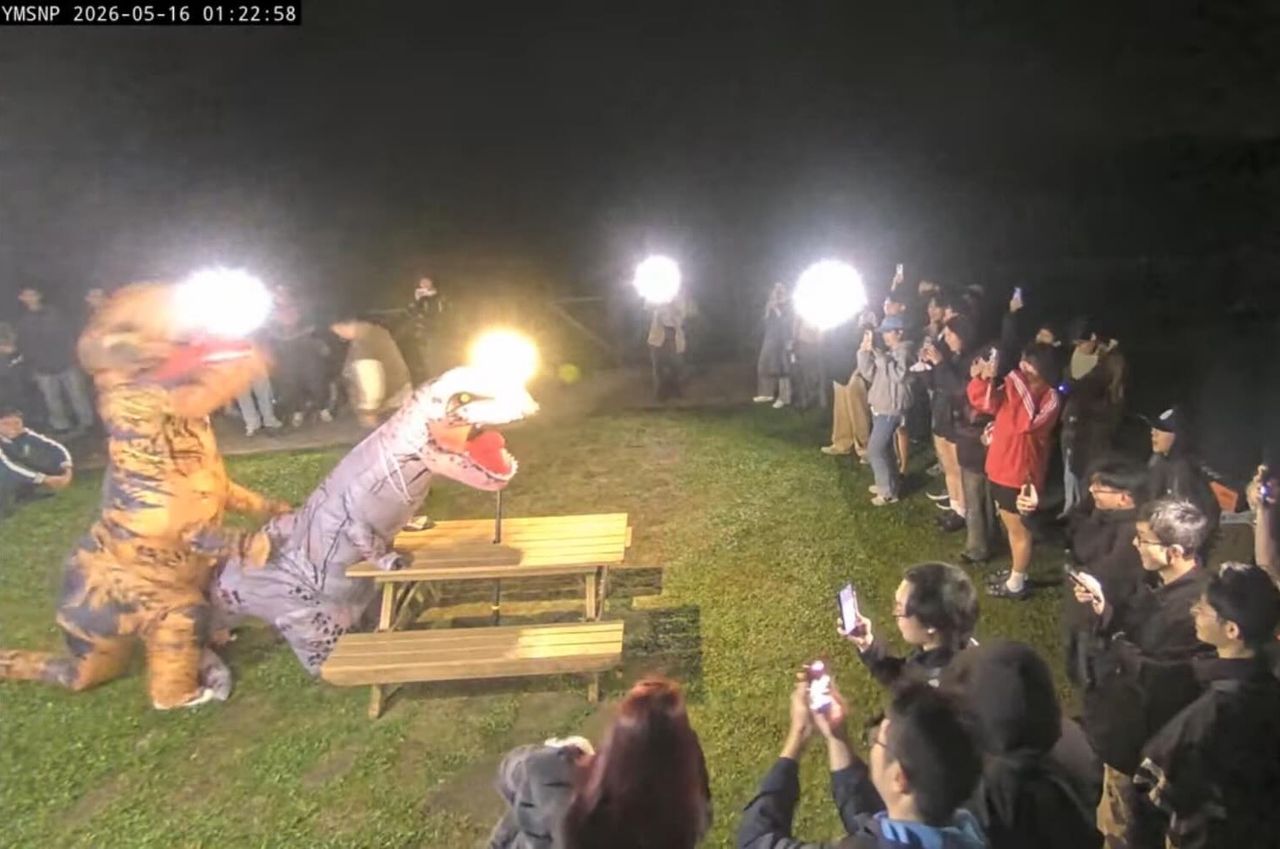 擎天崗男女激戰遭偵辦!張景森:政府有何權力直播私密活動?