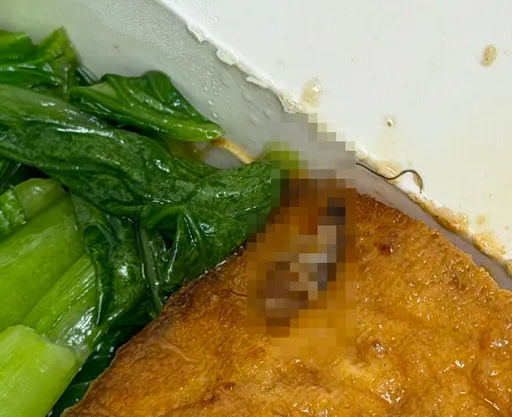 台電大樓商圈吃燒臘便當吃到蟑螂　反應後不退錢要客人換菜吃