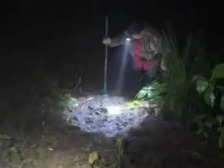 為喝一口水80歲老農頭戴探照燈摸黑上山找水。投訴人提供