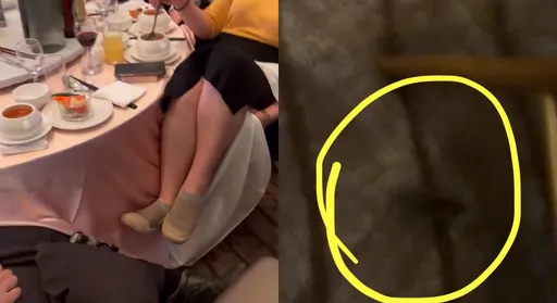 大直典華驚見老鼠亂竄　業者道歉了：已全面清消