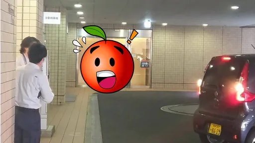 大樓驚見熊出沒！青森市區民眾嚇壞　日機場跑道關閉