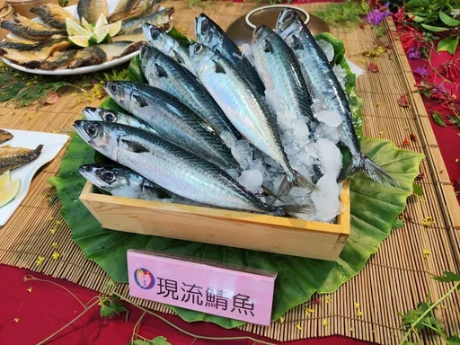 「魚斷食」夯什麼？醫揭鯖魚、秋刀魚、沙丁魚差異　這種Omega-3最高