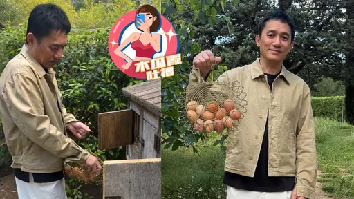 木瓜霞｜不是AI！梁朝偉撿雞蛋也這麼深情　感謝劉嘉玲無私分享
