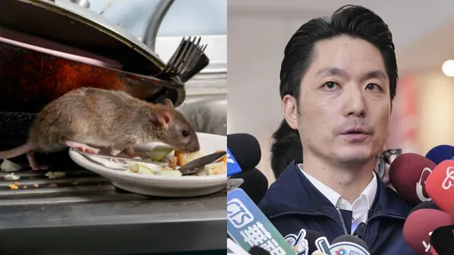 鼠患不應淪為政治口水！她呼籲蔣萬安：用科學數據給市民一個答案