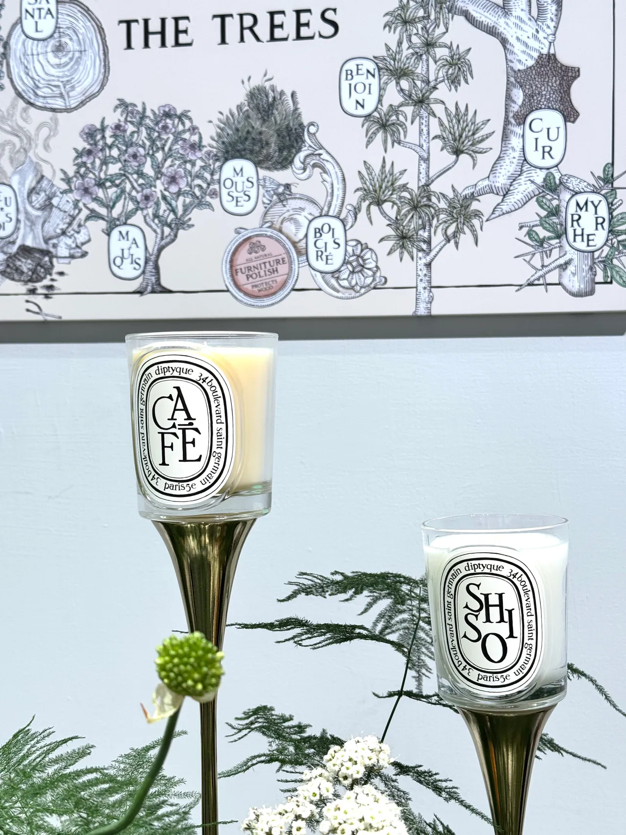 Diptyque經典香氛蠟燭，190g／2500元。張家玲攝