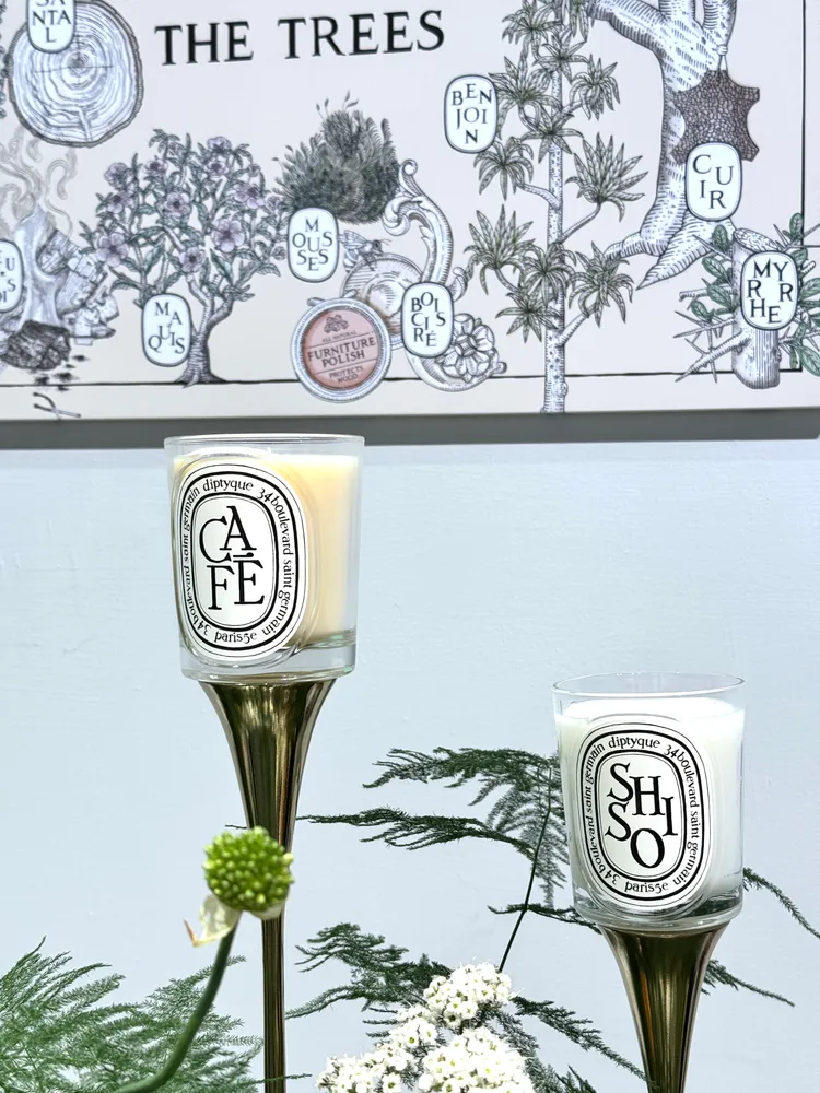 Diptyque經典香氛蠟燭，190g／2500元。張家玲攝