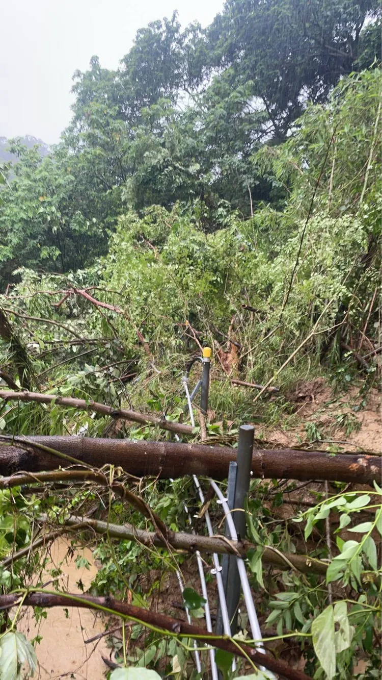 今上午新竹路段邊坡滑動偵測器作動，經維修人員趕赴現場確認，為樹木倒塌壓到偵測器，已於9：33恢復運轉。
