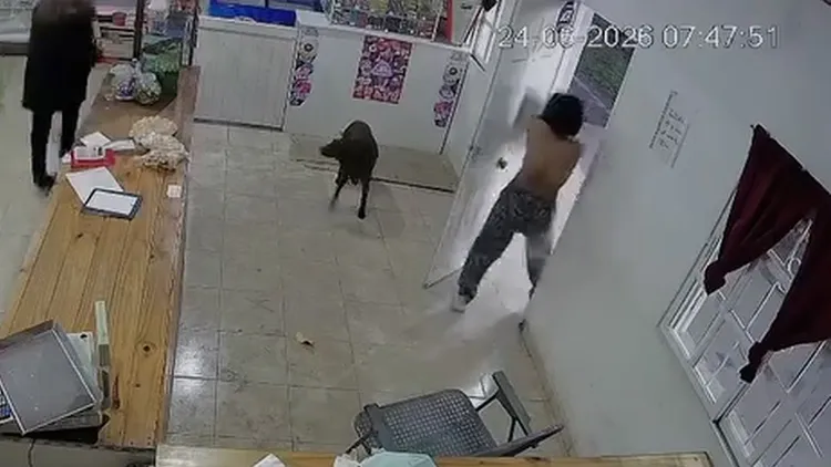 女賊赤裸上半身逃出雜貨店。翻攝自X