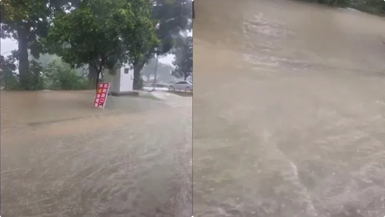 雨彈炸南台！　屏科大校園成水鄉澤國　學生：可以提前放暑假嗎？