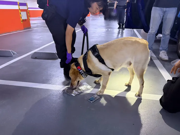 警方地下停車場尋獲何嫌車輛後，找來緝毒犬支援，循線在社區大樓找到製毒據點。翻攝畫面
