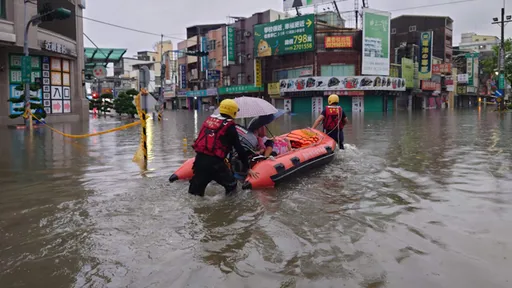 為何台南逢大雨就淹　謝龍介點名前市長賴清德「治水經費花去哪」