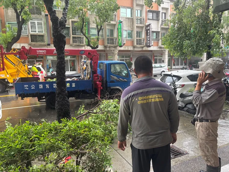 林男愛車慘遭斷枝砸損。翻攝畫面