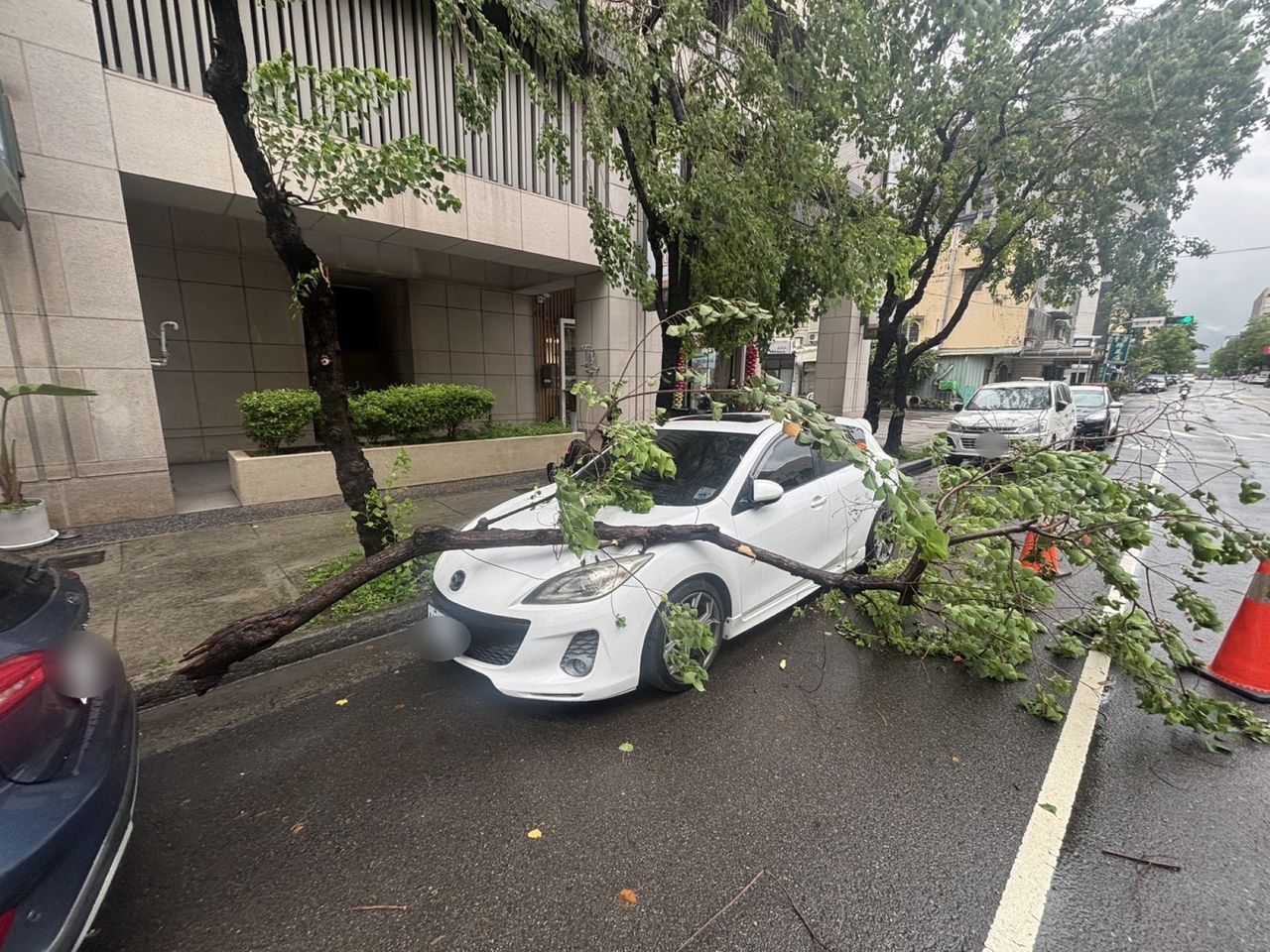 滯留鋒面連日大雨 崩潰!愛車慘遭路樹斷枝砸損
