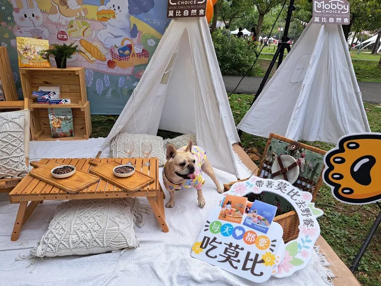 全台毛爸媽快衝！莫比自然食33週年祭百項好禮　最大獎10萬元紀念金幣