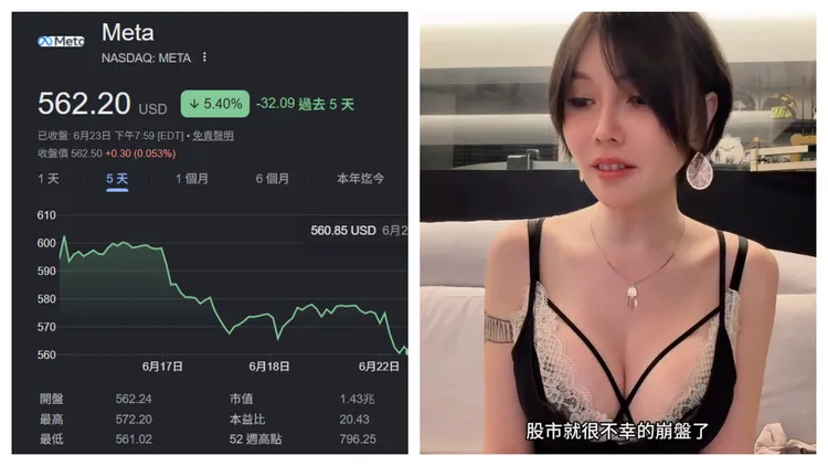 巴逆逆買進Meta股票後，股價跌勢加劇。翻攝巴逆逆臉書