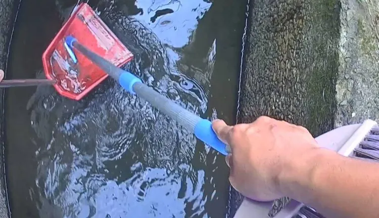 警方在排水溝內起獲毒菸彈。蘆竹警分局提供