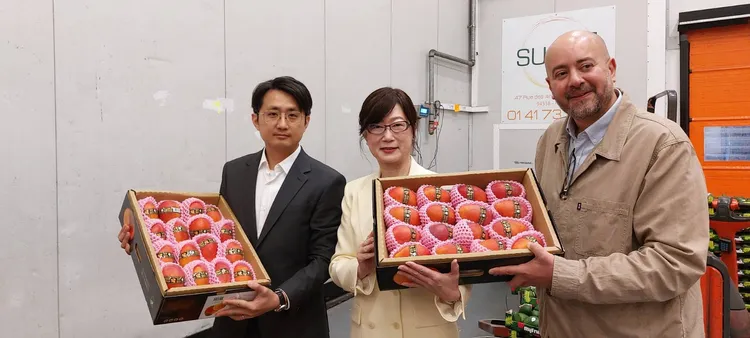 台灣愛文芒果進口法國，已順利在通路上架。翻攝自台灣駐法國代表處臉書