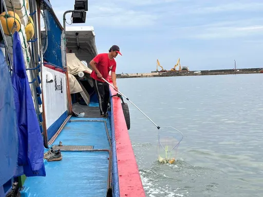 桃園致力海洋保育成果亮眼　環保艦隊、潛海戰將斬獲全國特優等大獎