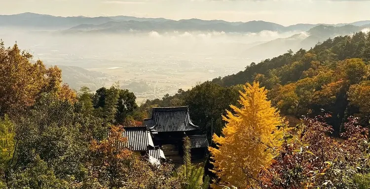 千手寺外觀。翻攝X