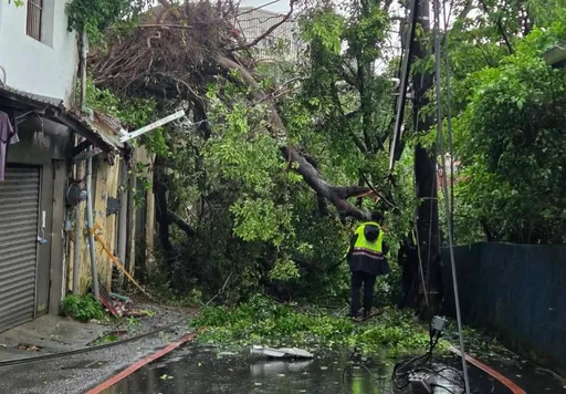 雨彈狂轟基隆！通明街邊坡又崩塌　土石樹木阻斷交通
