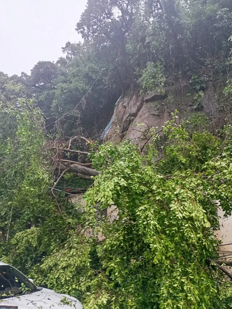 中山區通明街發生邊坡滑落，導致大量土木滑落。翻攝照片