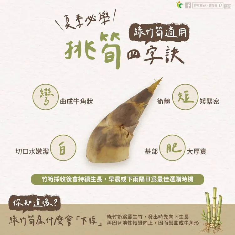 農糧署教如何挑選竹筍。農糧署