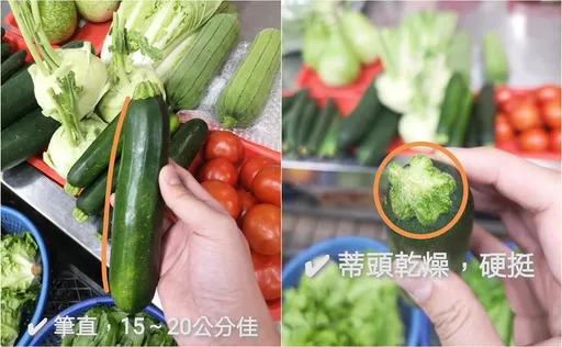 吃櫛瓜吃到食物中毒　菜販警告1狀況就丟掉！