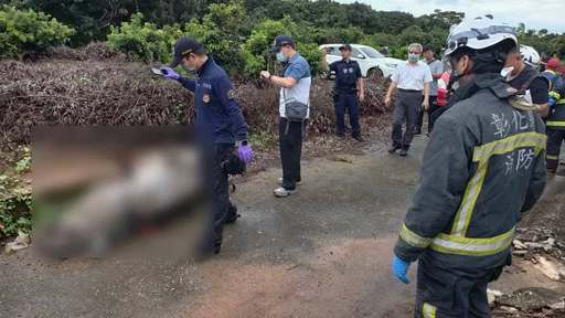 「保鮮膜裹屍」棄置荔枝園　神秘女子可能是「她」　檢警相驗釐清